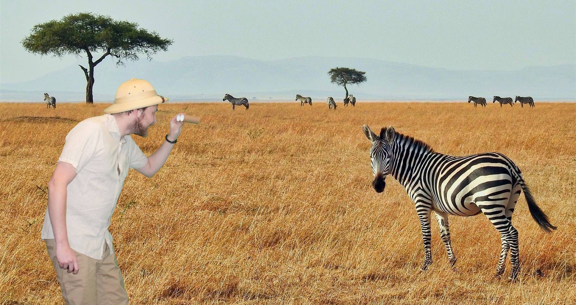 on safari